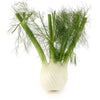 Fennel (Each)