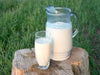 Milk Jersey & Raw