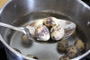 Eggs Other