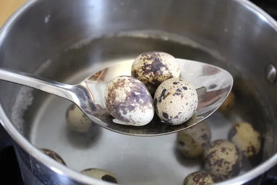 Eggs Other